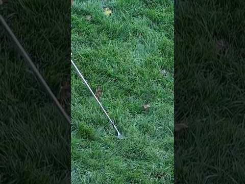 A different kind of hidden ball trick 🫥