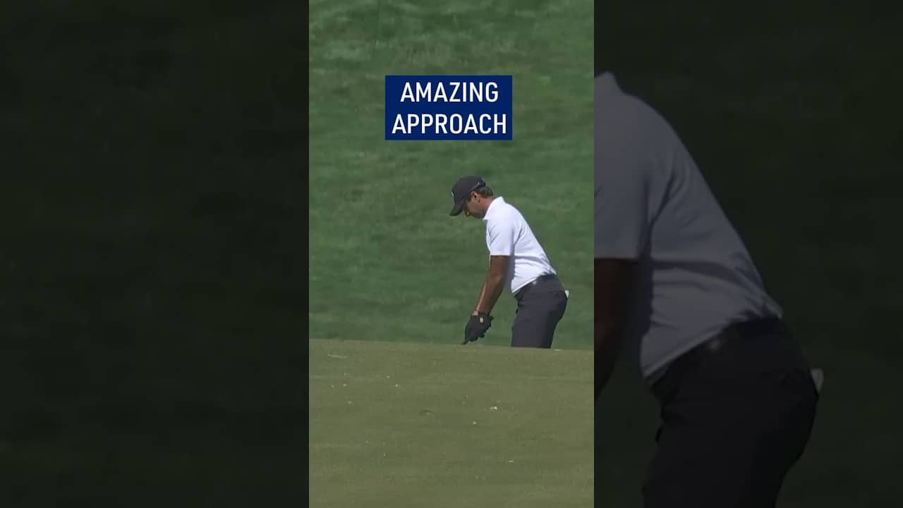 How GOOD is this shot? 🤩