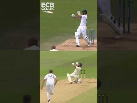 🤔 Where Did The Bats GO?