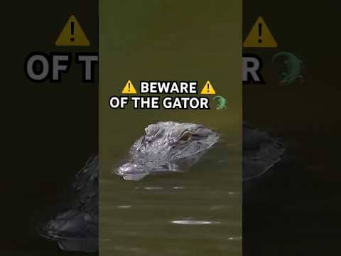 do NOT try this at home 😱