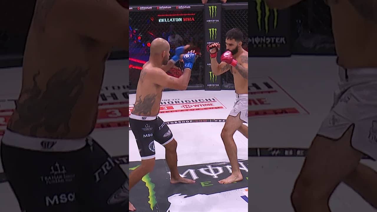 That flying knee KO was COLD! #mma #shorts