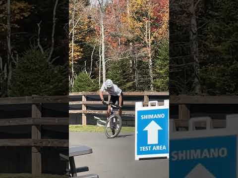 Just Charlie doing Charlie things 😎 #shorts