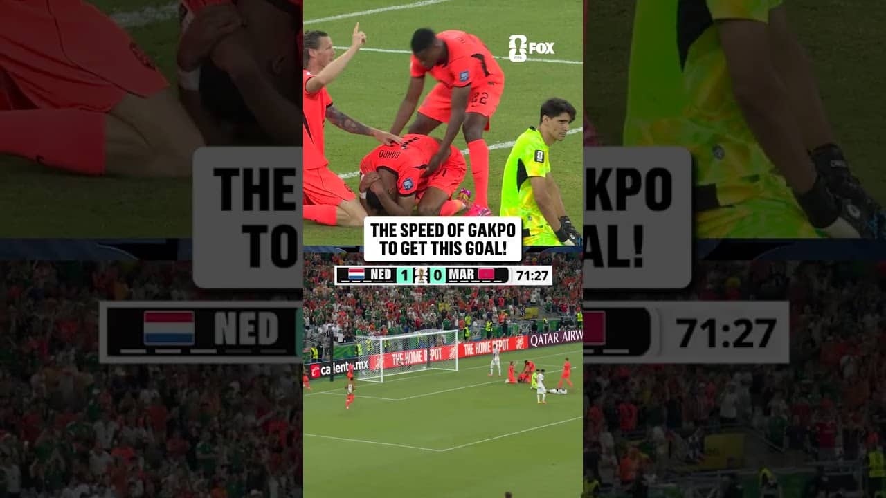 What a goal from Cody Gakpo and The Netherlands 🇳🇱 The Dutch take the lead in Monterrey!
