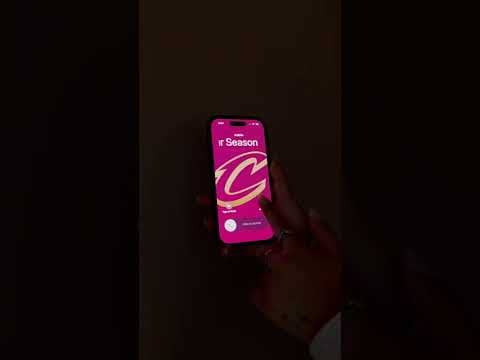 ☎️ Sorry, Admin can't come to the phone right now... We're in PLAYOFF MODE. #nba #basketball #shorts