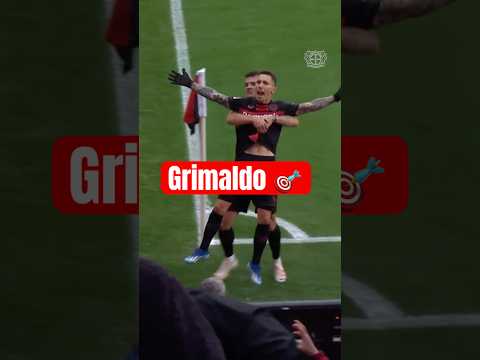 Best left foot in Bundesliga? Grimaldo 🇪🇸