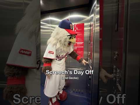 Screech’s Day Off (With Gecko)