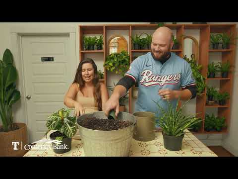 Dream the Big Dream: Oasis Plant Shop