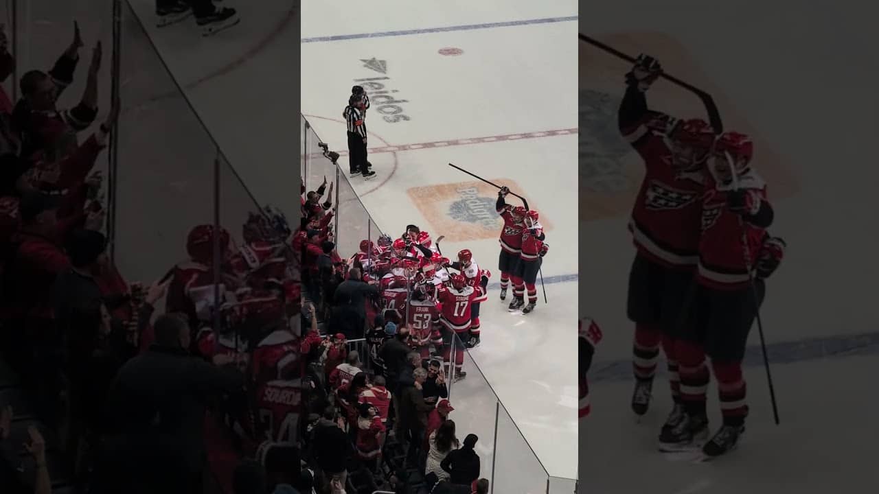 Justin Sourdif Game Winning Goal in OT! plus Capitals Fan Celebration #allcaps