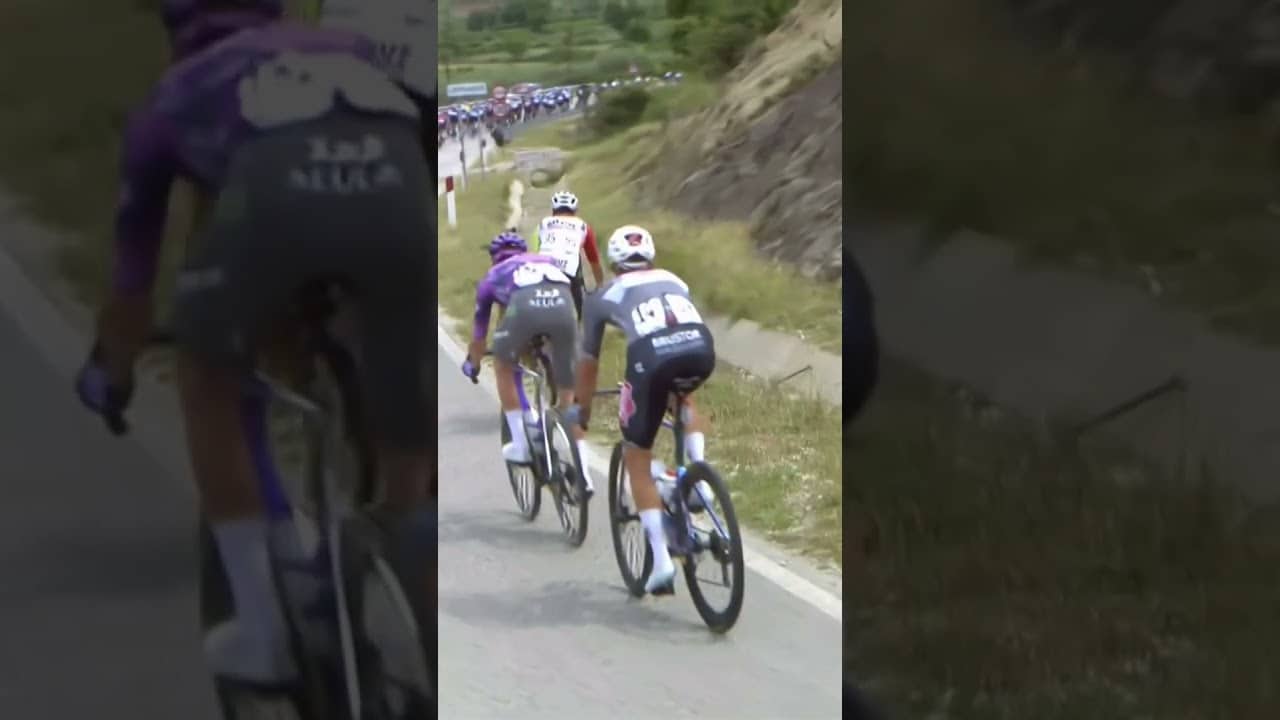 WHEN GOATS ATTACK 😱🐐Still not sure how Dion Smith stayed upright! 😮