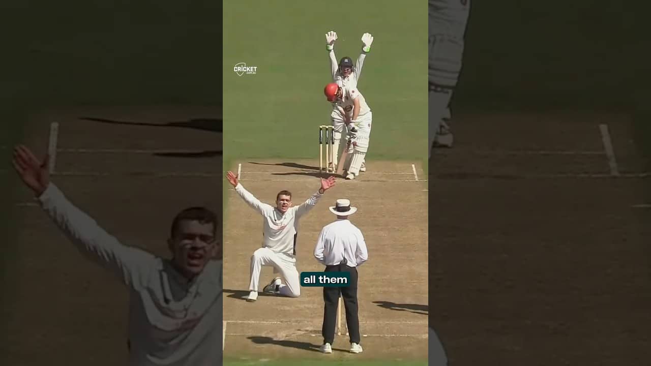 Who misses out in Vics' Shield selection crunch?