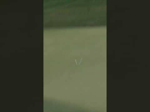 Did that REALLY just happen?! 🤯