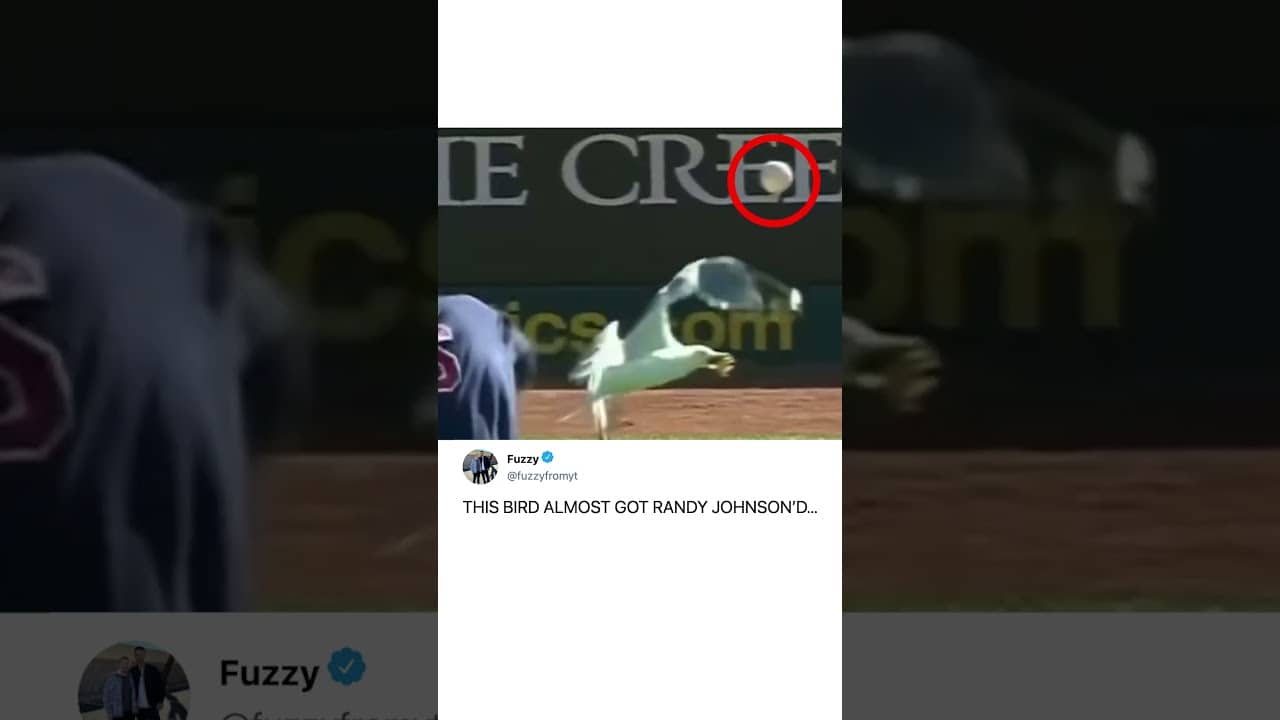 that was a close call 😬