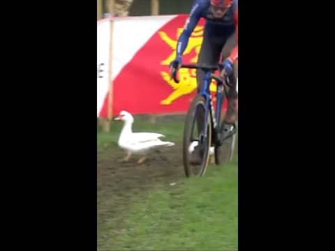 Always be ready to duck 🦆 Throwback to this close call at the UCI XC World Cup in Flamanville 🫣