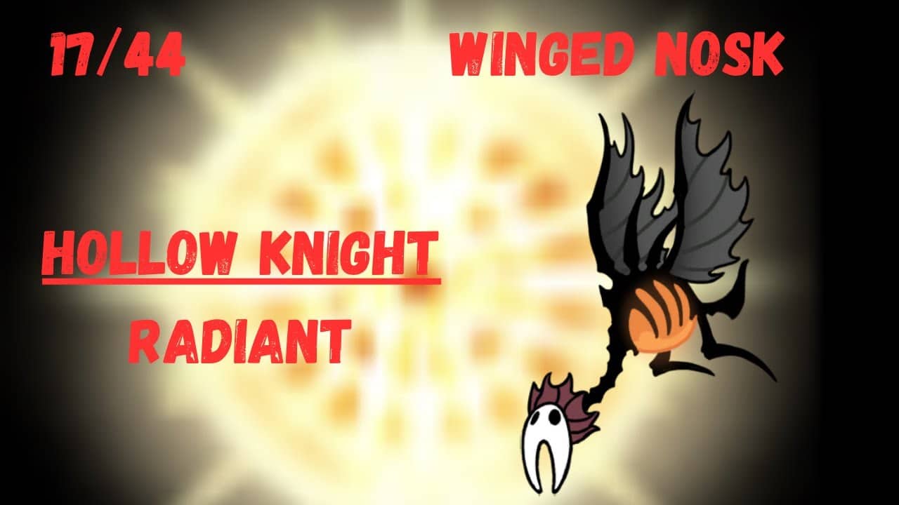 Hollow Knight | Winged Nosk | Radiant