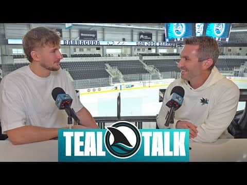 Teal Talk: Pavol Regenda
