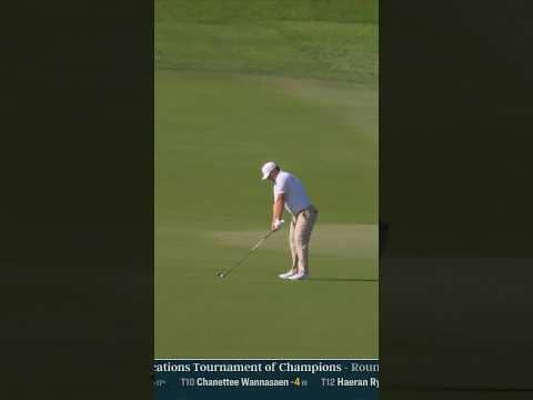 Inches from an albatross 💪⛳