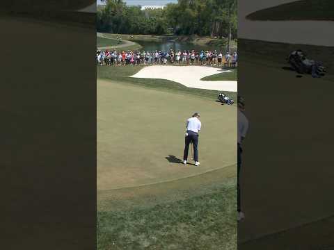 Walker sinks a longggg putt for 🐦