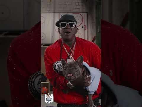 🐶🐾🦴 The Stanley Pup is Back! 🐶🐾🐕