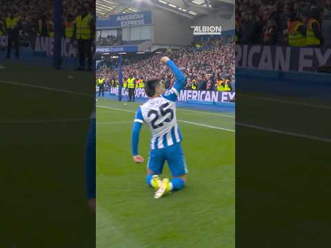 'He Doesn't Score Tap Ins' - Another Sensational Gomez Goal #diegogomez #brightonandhovealbion