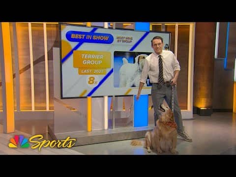 National Dog Show Best in Show underdogs with Steve Kornacki | NBC Sports