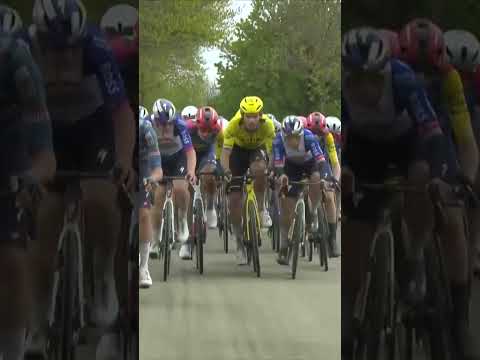 Remco Evenepoel is not happy! 👀 The battle for position is ON in Amstel Gold.