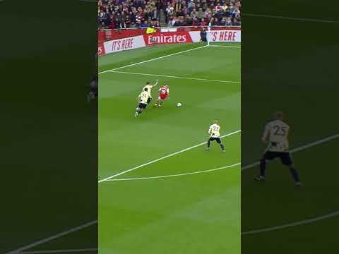 GABRIEL JESUS X LEANDRO TROSSARD