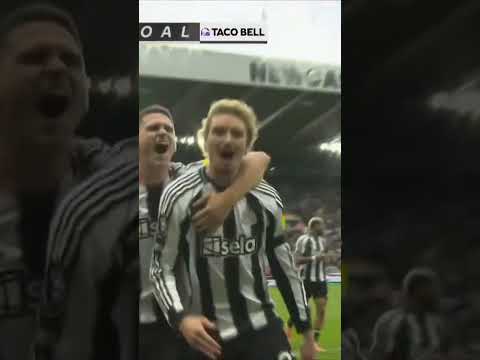 NICK WOLTEMADE RISES HIGHEST 😤