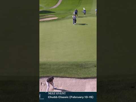 Saved by the stick🔔