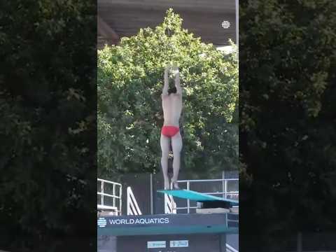 YAN Xin’s Stunning 3m Springboard Dive at World Championships #diving