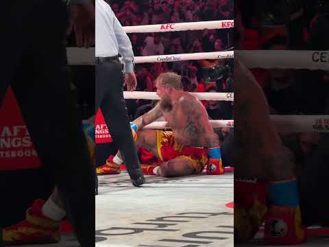 Jake Paul got knocked out 😳