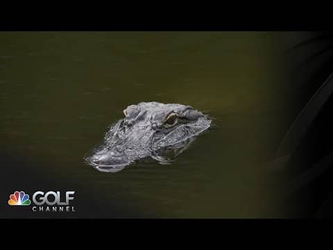 Gator gets a front-row seat to Vince Whaley's shot at Sanderson Farms Championship | Golf Channel