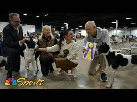 Rare breeds to root for at the 2025 National Dog Show | NBC Sports