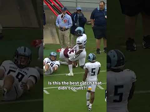 Out of bounds but still insane 🫡 #virginiatech #accfootball #collegefootball