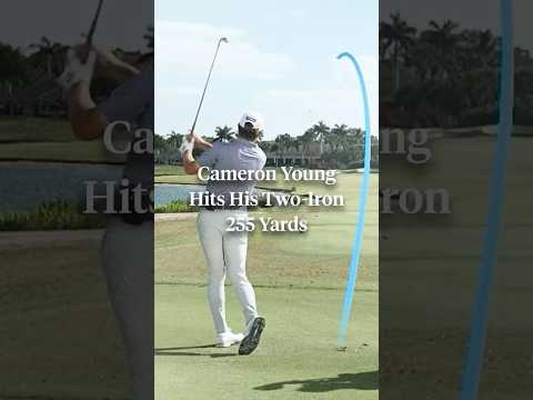 Cam Young’s ballstriking is a thing of beauty