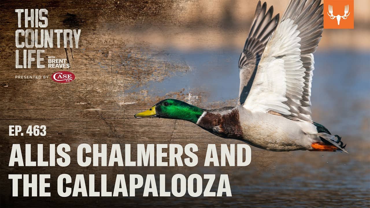 Allis Chalmers and the Callapalooza | This Country Life Ep. 463
