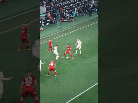 Joe Scally 😮‍💨😮‍💨😮‍💨 #diefohlen #Borussia