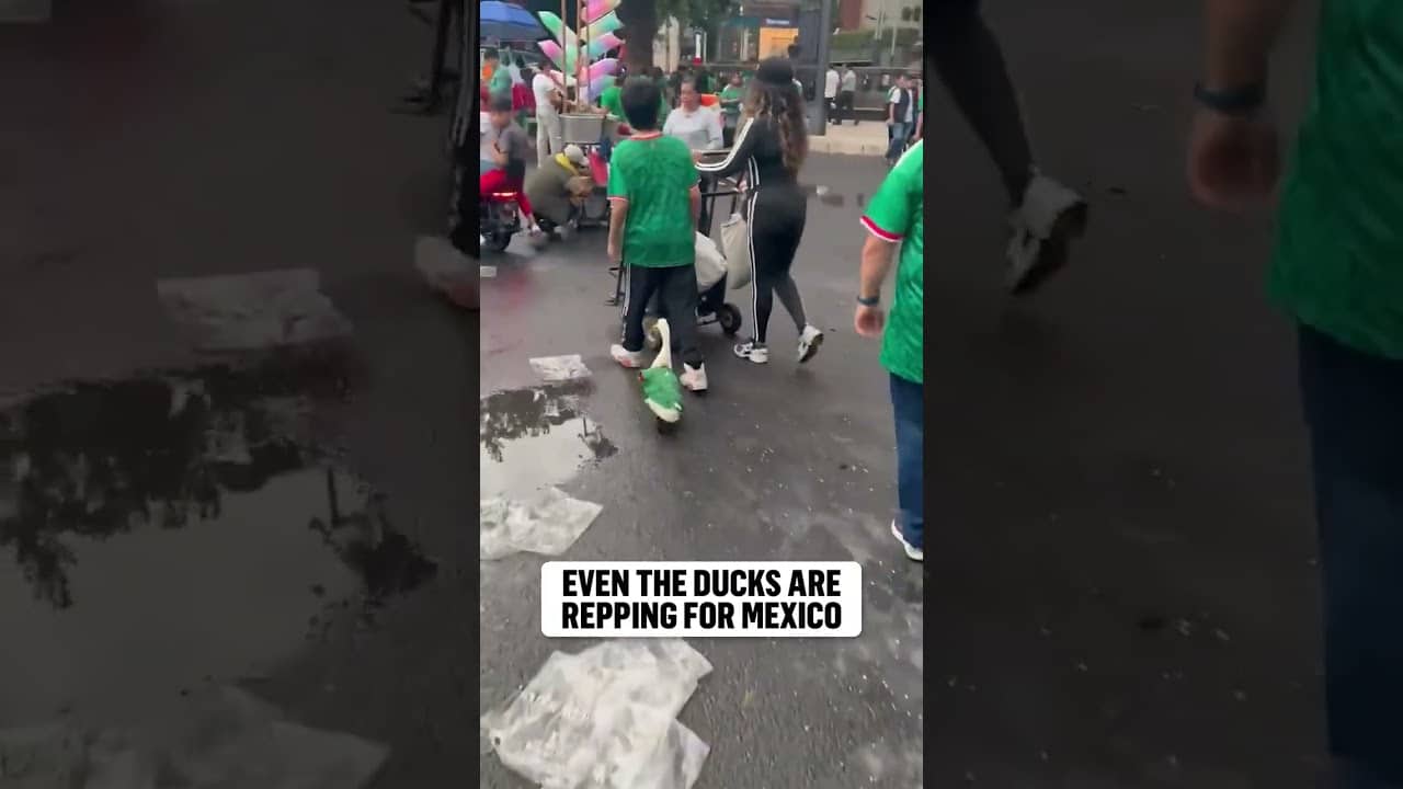 Found the biggest Mexico fan in the flock 🇲🇽