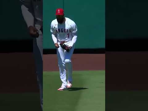 Jo Adell leaps at the wall to rob J.P. Crawford of a homer 🤯