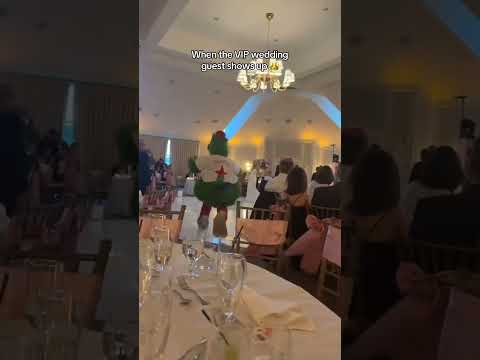 Ultimate dance floor partner 🕺(via @_raya_perate_/TT)