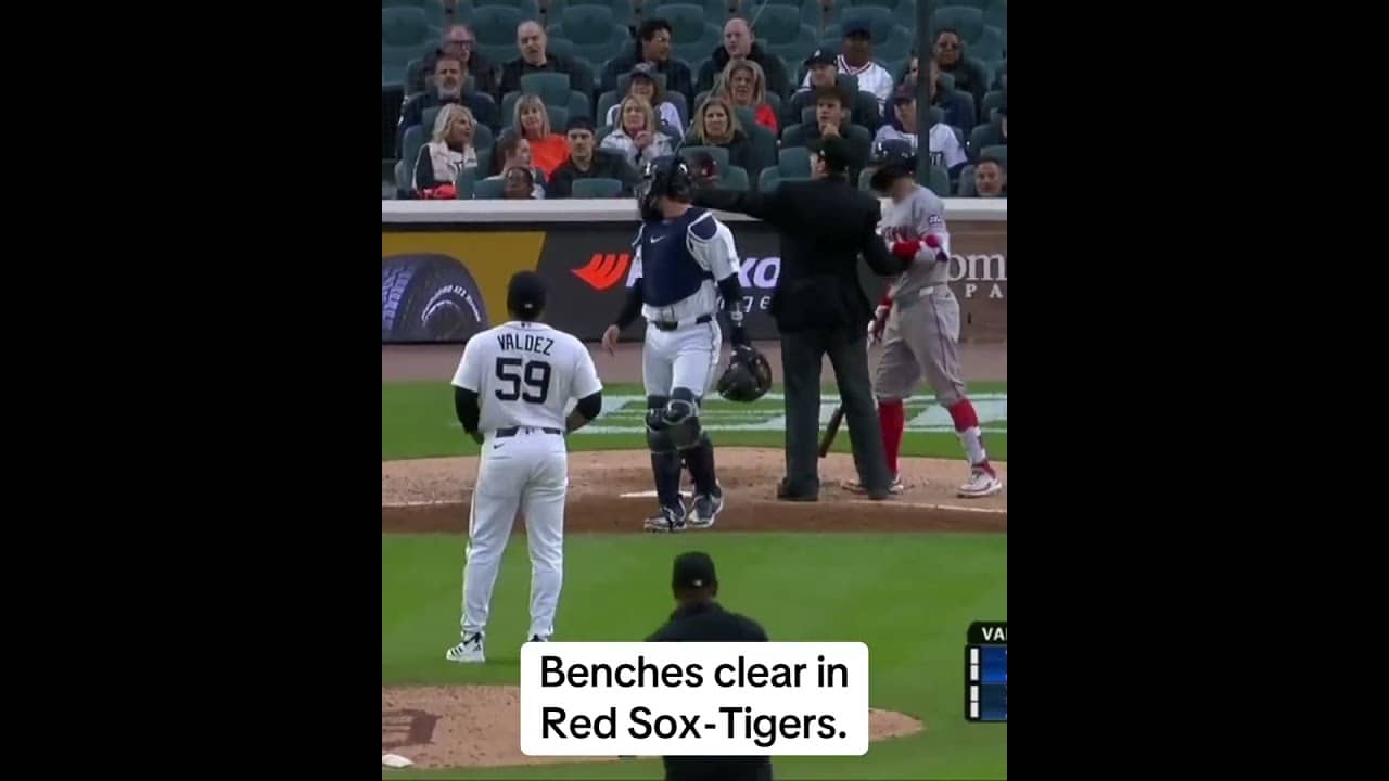 Framber Valdez was ejected from the game after this play.