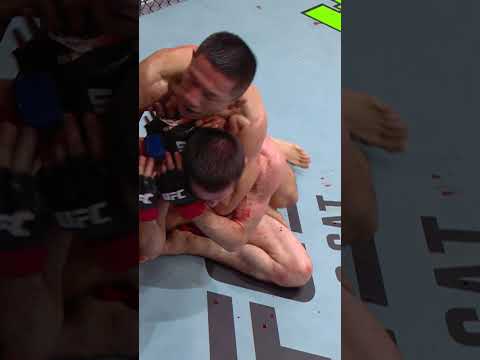 Kyoji Horiguchi is BACK! #ufcvegas113