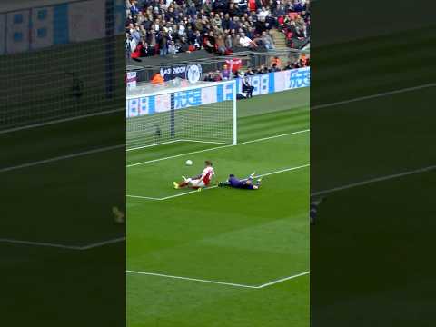 AARON RAMSEY ✅ WEMBLEY ✅ NLD