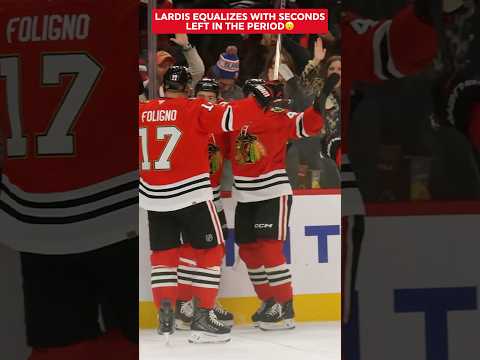 NICK LARDIS EVERYONE🤩