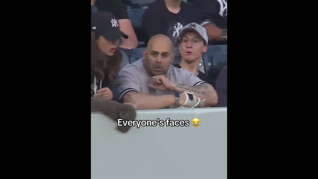 Slow motion made this so much better 🤣