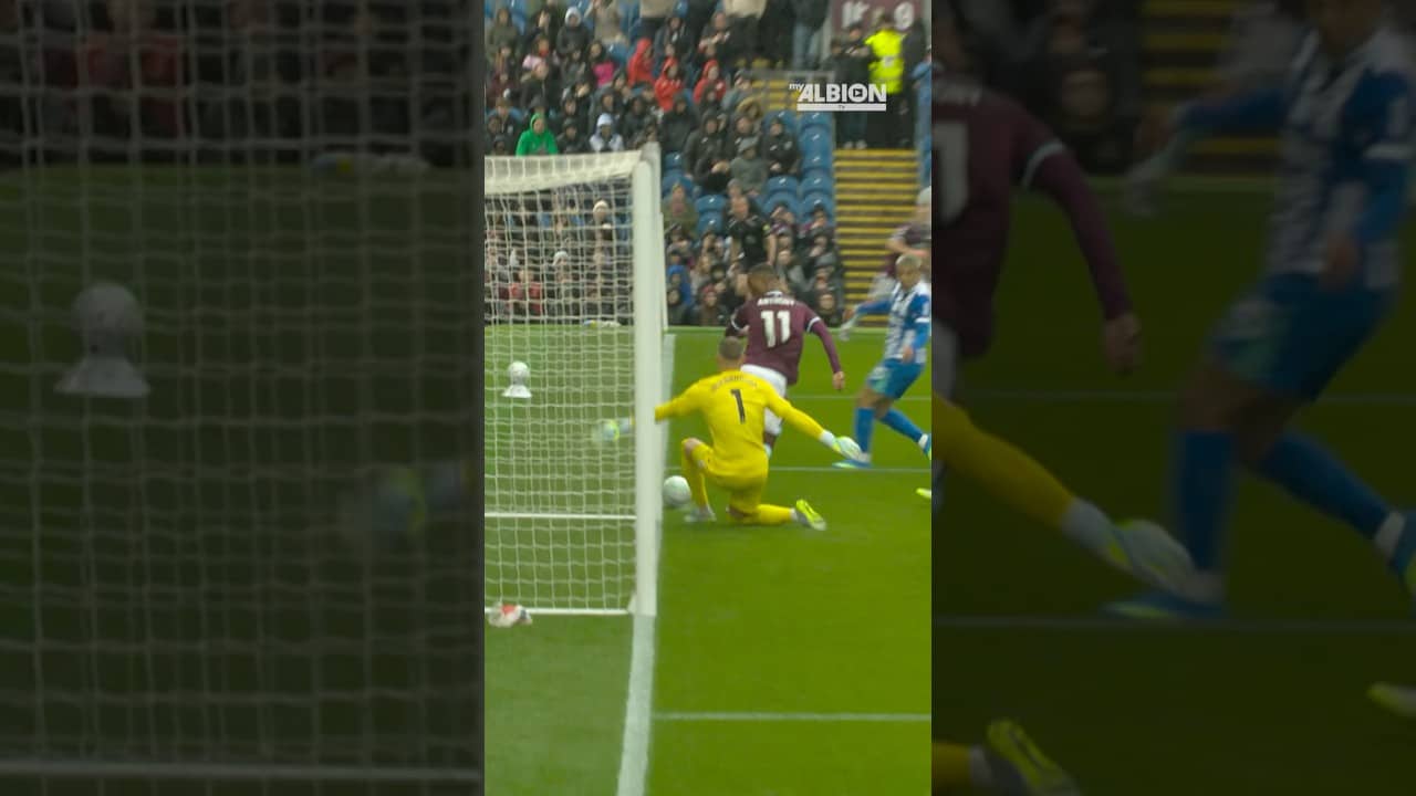 Best of Bart Verbruggen vs Burnley 🧤 #brightonandhovealbion #premierleague
