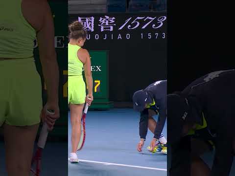 Paolini versus a BUG! 🐞