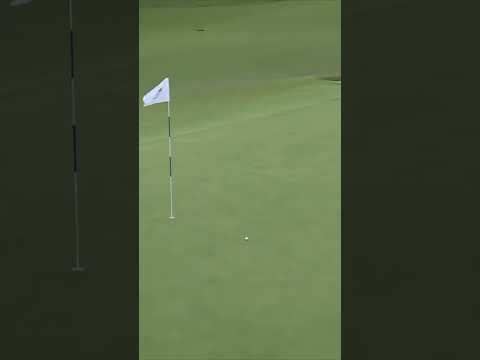 Hitting from the bunker? Not a problem for Max Greyserman 😤