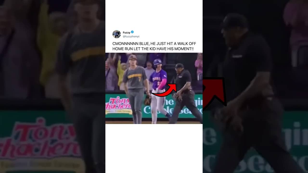 this umpire hates fun 😡