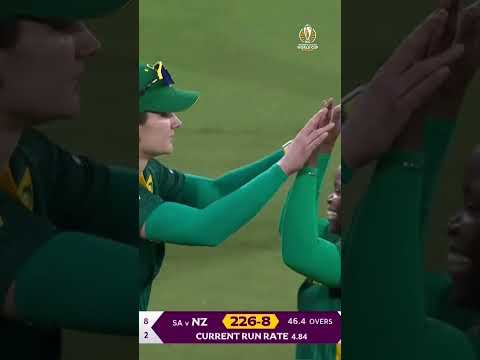 Catch of the tournament contender from Laura Wolvaardt 🤯 #CWC25