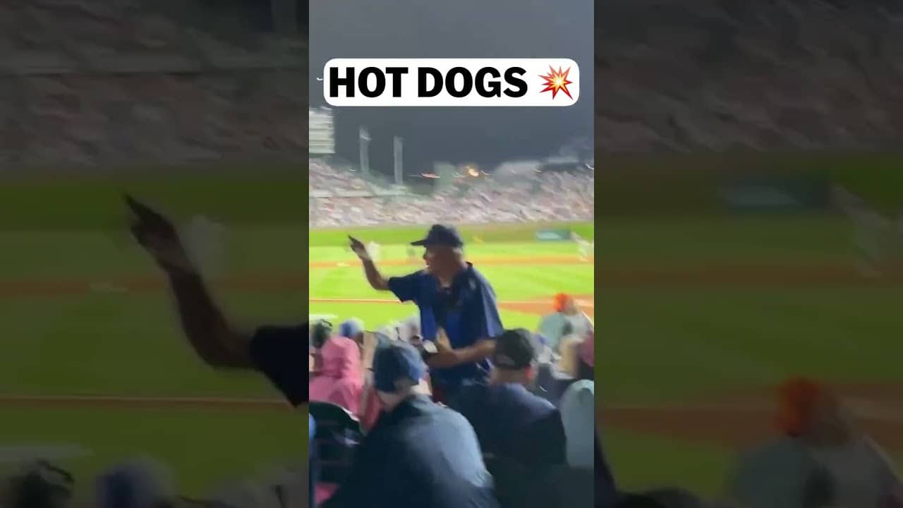 Hot dogs and homers. Heck yeah 🌭 (🎥@backs_sports)